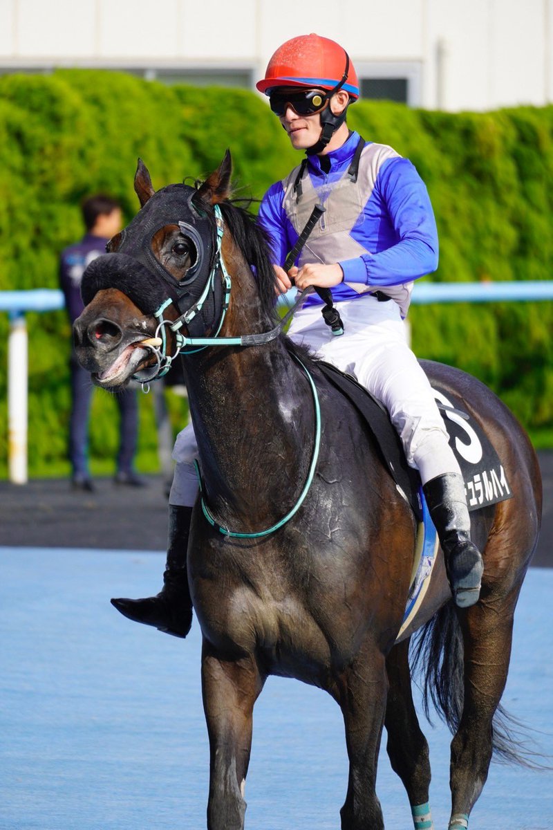 盗まれた馬 盗まれた馬 ミット on X