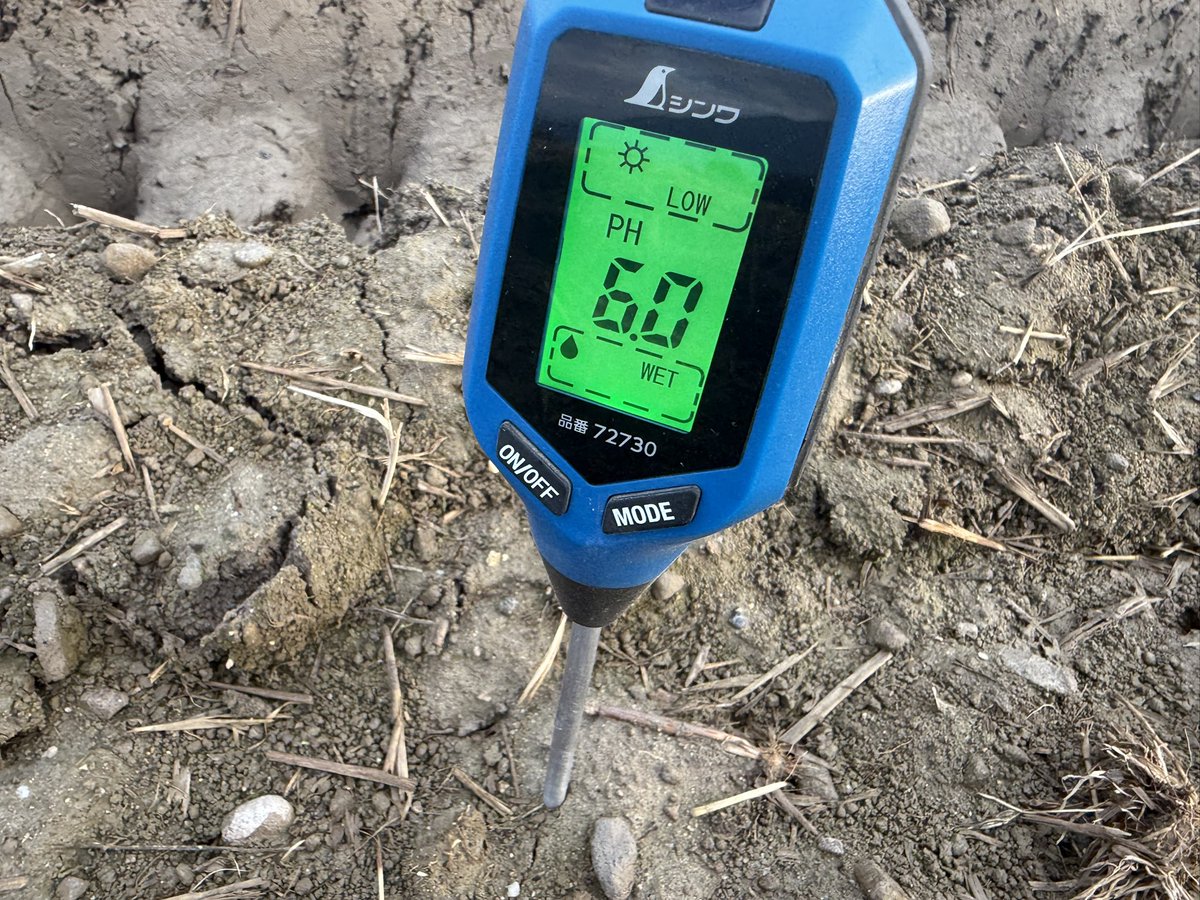 himari/素人家庭菜園 on X