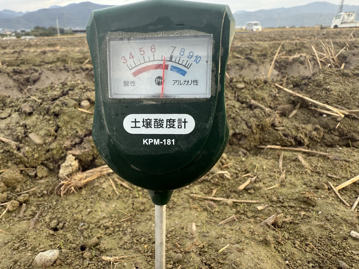 himari/素人家庭菜園 on X