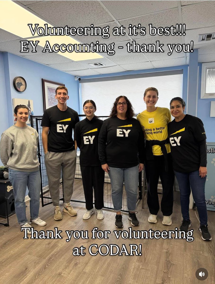 codarnj's tweet image. This morning, we had a wonderful group of volunteers from EY Accounting.  They powerwashed, filled doggie holes, folded laundry, cleaned and picked up toys! They couldn’t do enough! Thank you so much!  Looking forward to next year!!!