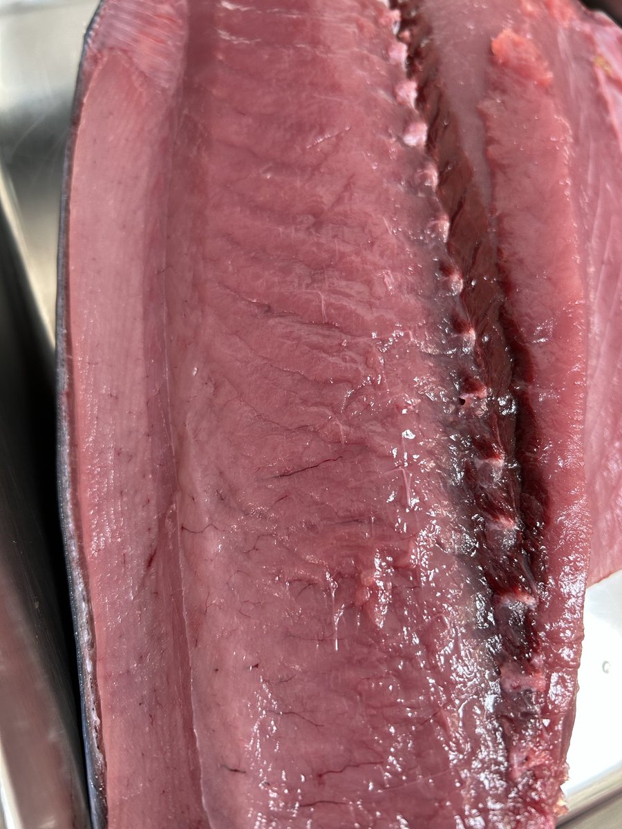 魚虎 うおとら on X