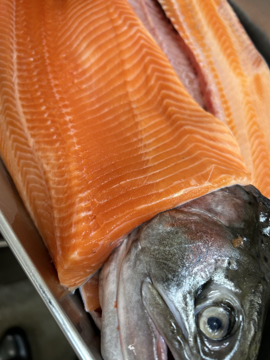 魚虎 うおとら on X