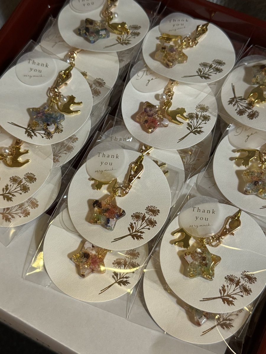 ピースにゃんこ函館＠うめこBB on X