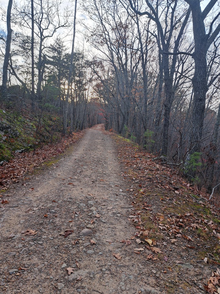 dsutton24's tweet image. Good day for a hike on the AT...Appalachian Trail.