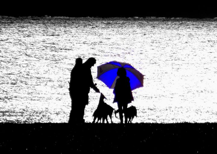 FuzzyFinker's tweet image. Art of the Day! &quot;The Blue Umbrella&quot;. Buy at: ArtPal.com/trevorharvey?i…