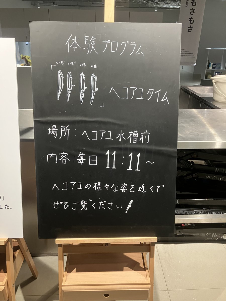 aoao様❀.*゜専用 aoao様用•*¨*•.¸♬︎ アオアオ