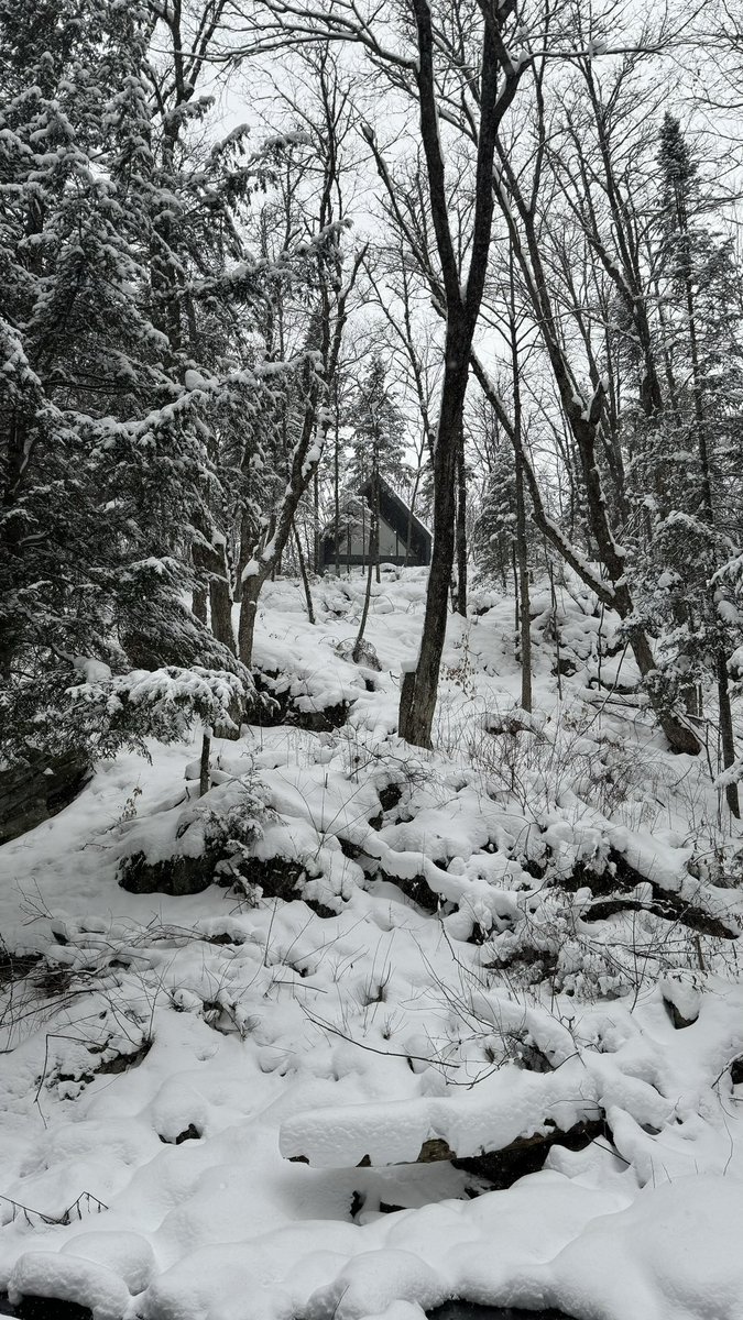 mattfunkk's tweet image. Sometimes I dread the winter….but it does have its moments