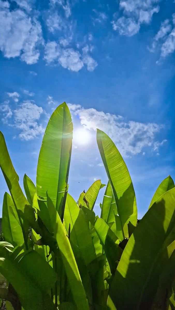 Atar Zhu (@atarzhu) on Twitter photo 