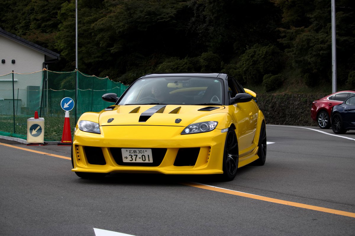 記念撮影 一本桜】 📷Nikon Z6II NIKKOR Z70-200mm f/2.8 📷伯備線 #nikon