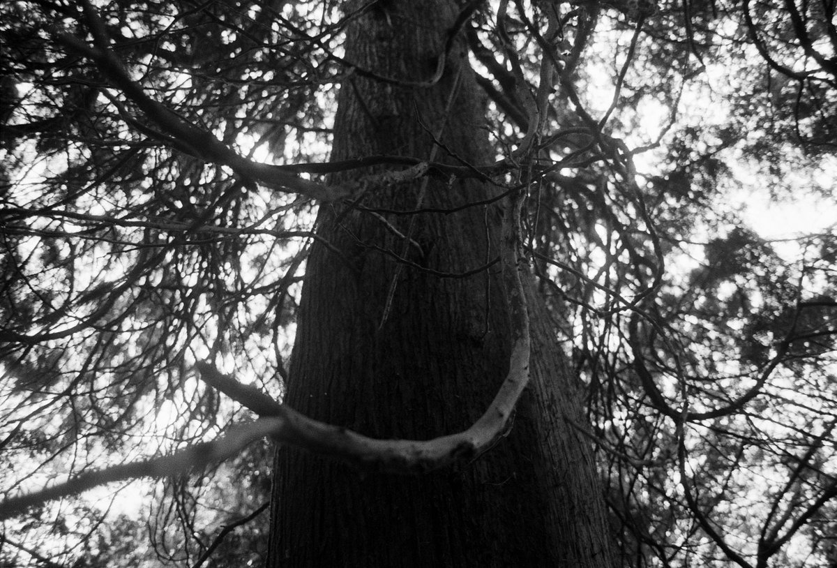 deviisway's tweet image. and more..
nature is really my last solace