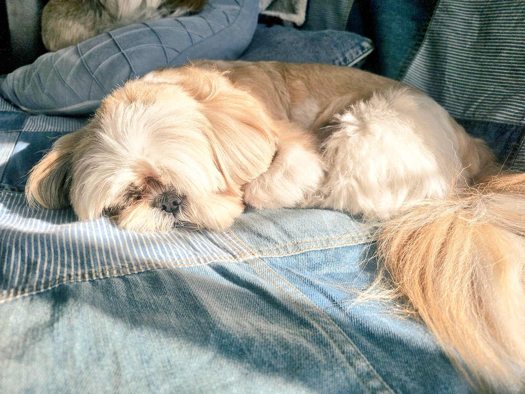 まめちゃんページ♡ まめっち (@MameMame_122) / Posts / X