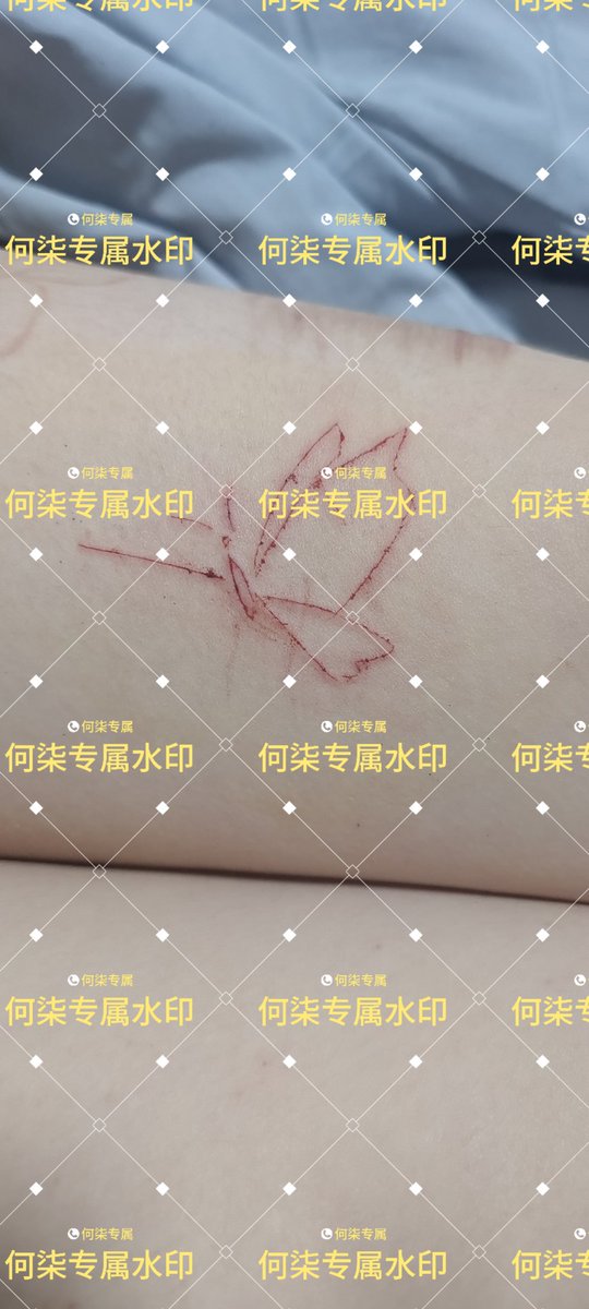 He__Qi's tweet photo. 寻不到～花的折翼枯叶～蝶～永远也看不见凋谢～11月了入冬了，玩穿刺切割的好时候啊，感兴趣的可以来了解，目前在湖北武汉，欢迎私信～
  #sm #bdsmِ  #武汉 #字母圈 #骚货 #��便犬 #母狗调教日记 #武汉 #湖北 #字母圈 #骚狗 #调教 #母狗 #骚货 #性奴 #开发 #犬奴 #驯化  #露出 #sm #���刺 #穿字 #湖北 https://t.co/cMlqMDs9Wx