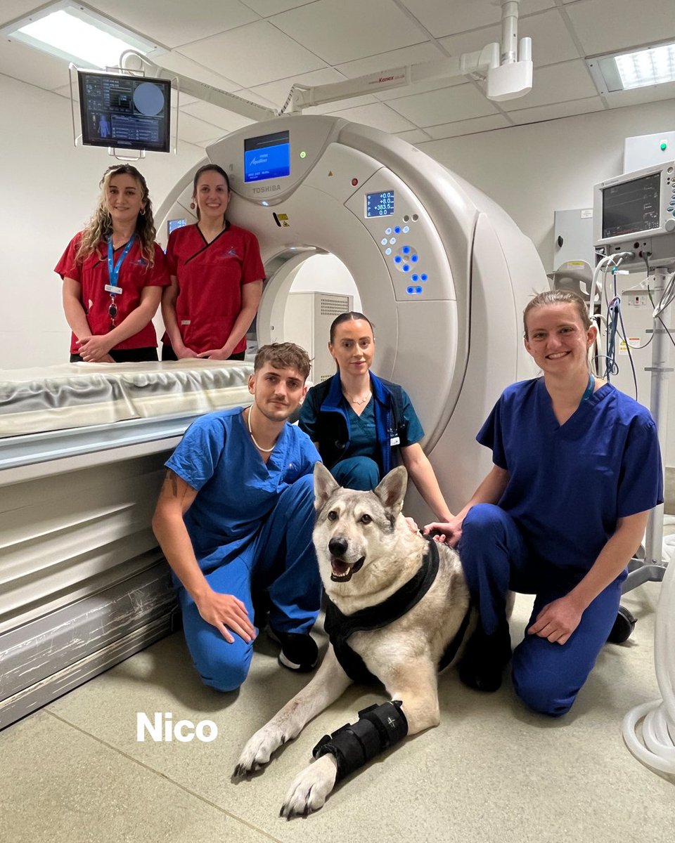 Fitzpatrick Referrals tweet media