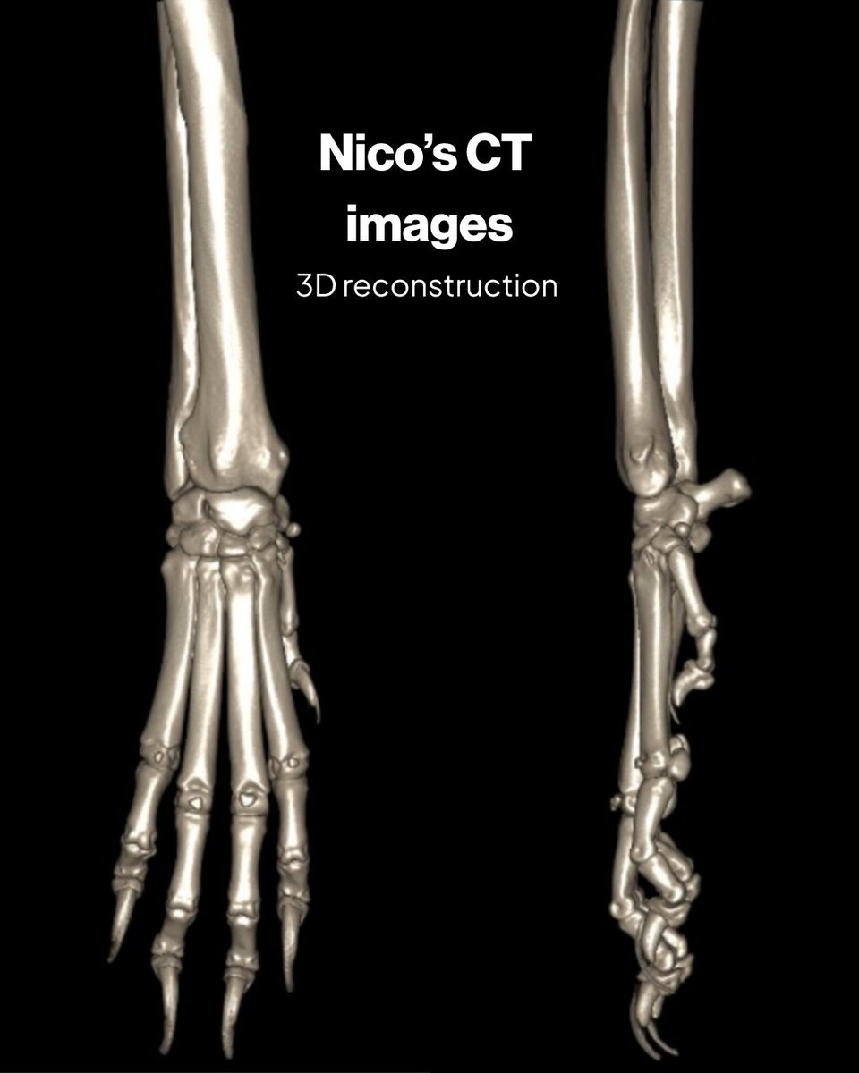 Fitzpatrick Referrals tweet media