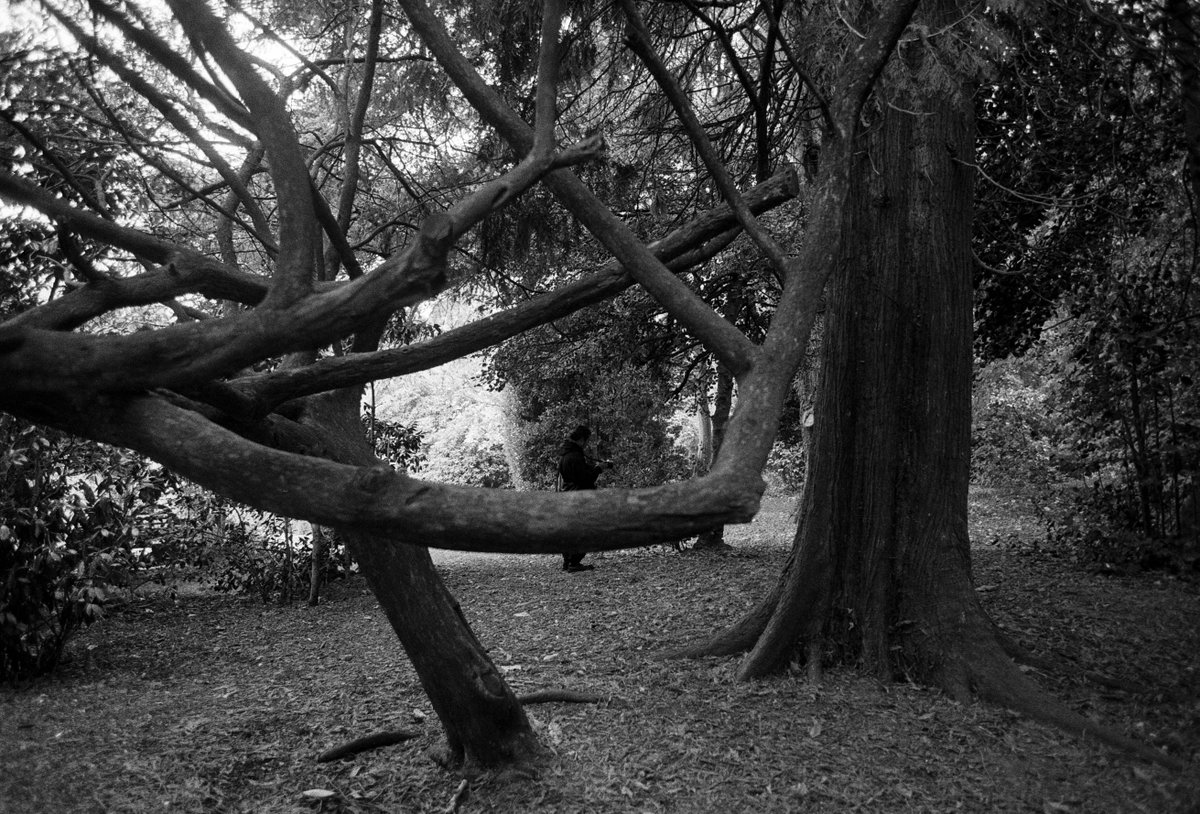 deviisway's tweet image. and more..
nature is really my last solace