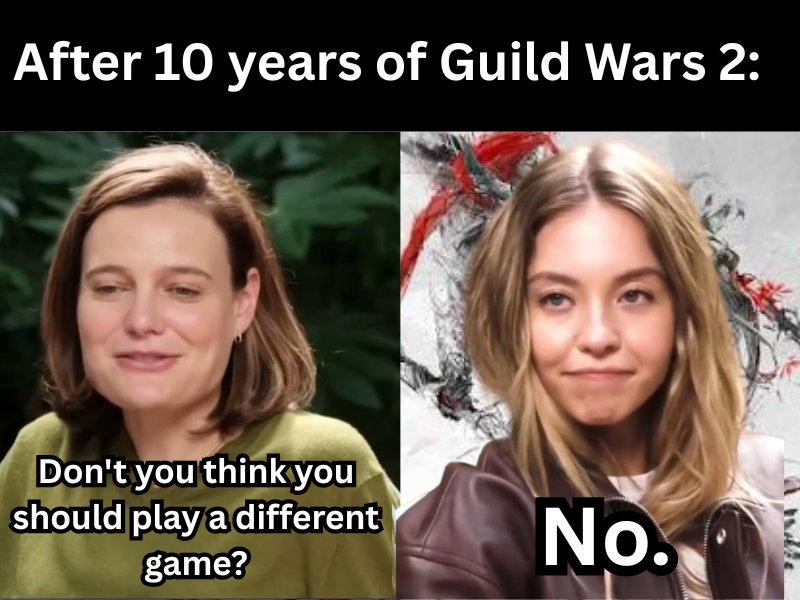 CaffeinatedDad1's tweet photo. I had to use this meme format while it was hot. Loool @GuildWars2 https://t.co/CchmfENP3o