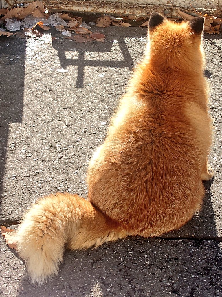 やっぱこれよこれ