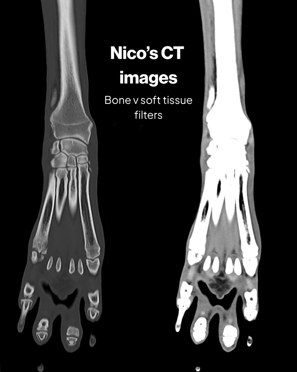 Fitzpatrick Referrals tweet media