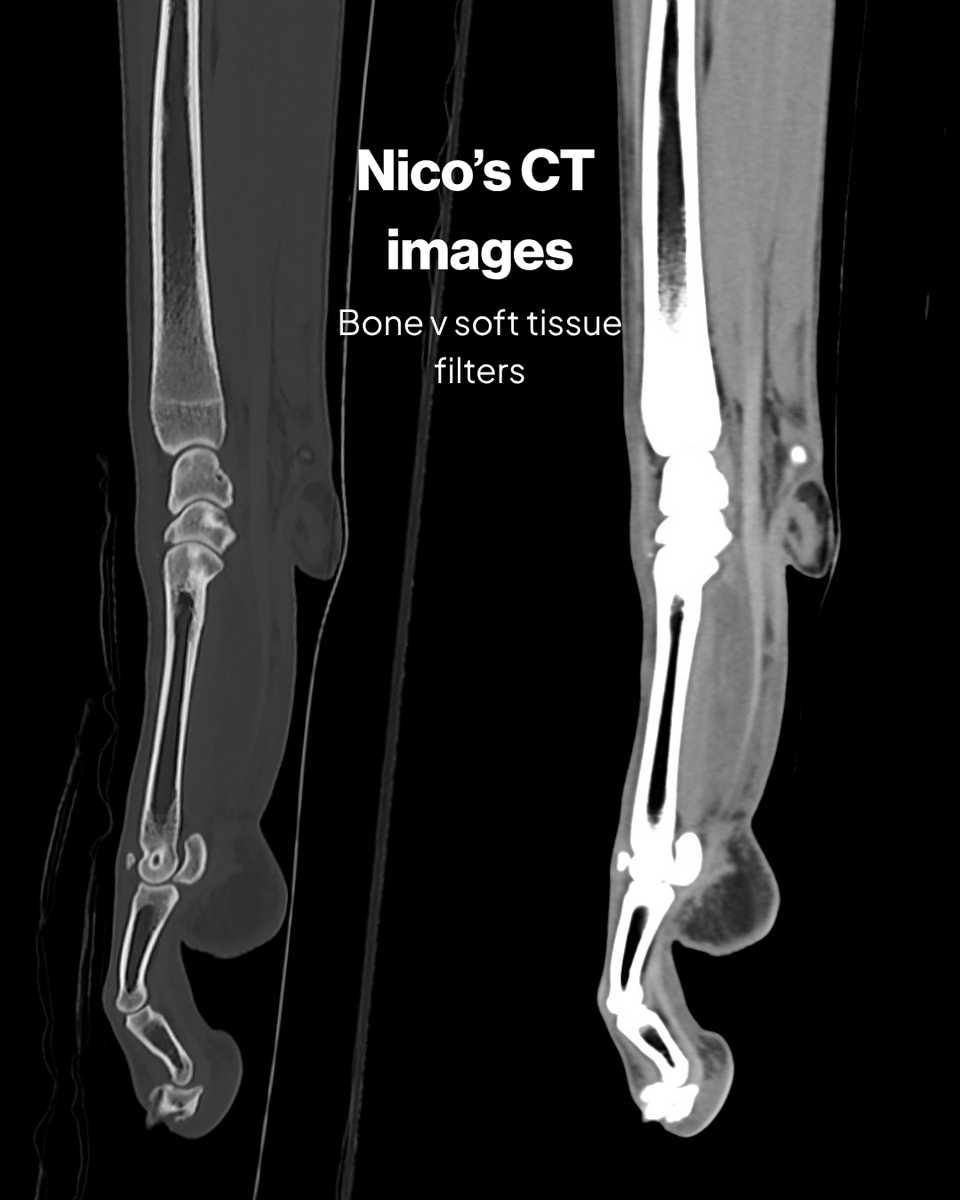 Fitzpatrick Referrals tweet media