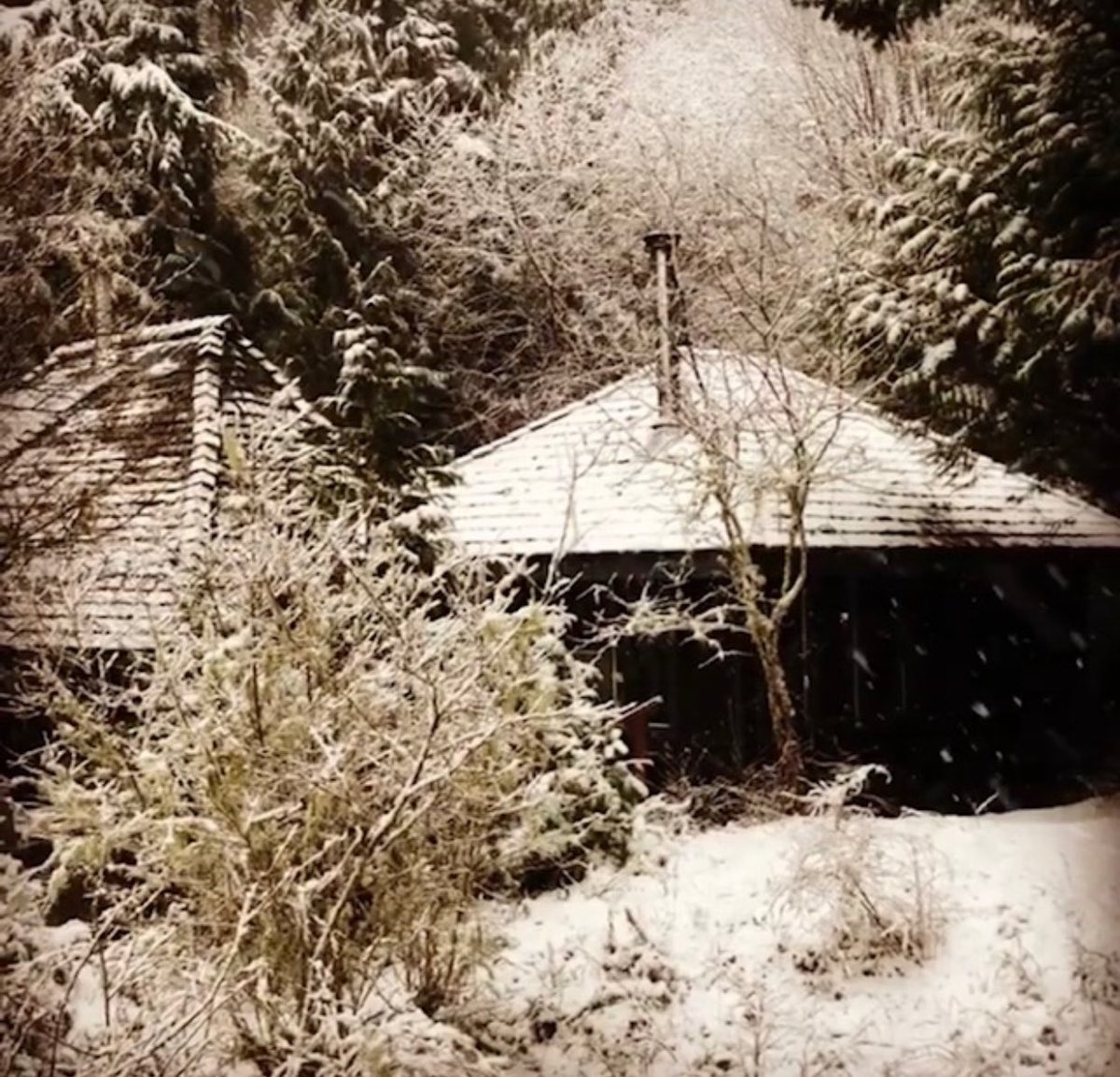 A picture of our old covehouse cabin in the snowy forest  by the sea …thinking of the much beloved family of <a href="/stan_sdcollins/">Stan Collins</a> wishing your hearts a peace filled winter from our Westcoast shore to yours ❤️