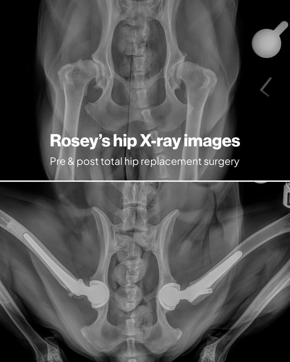 Fitzpatrick Referrals tweet media