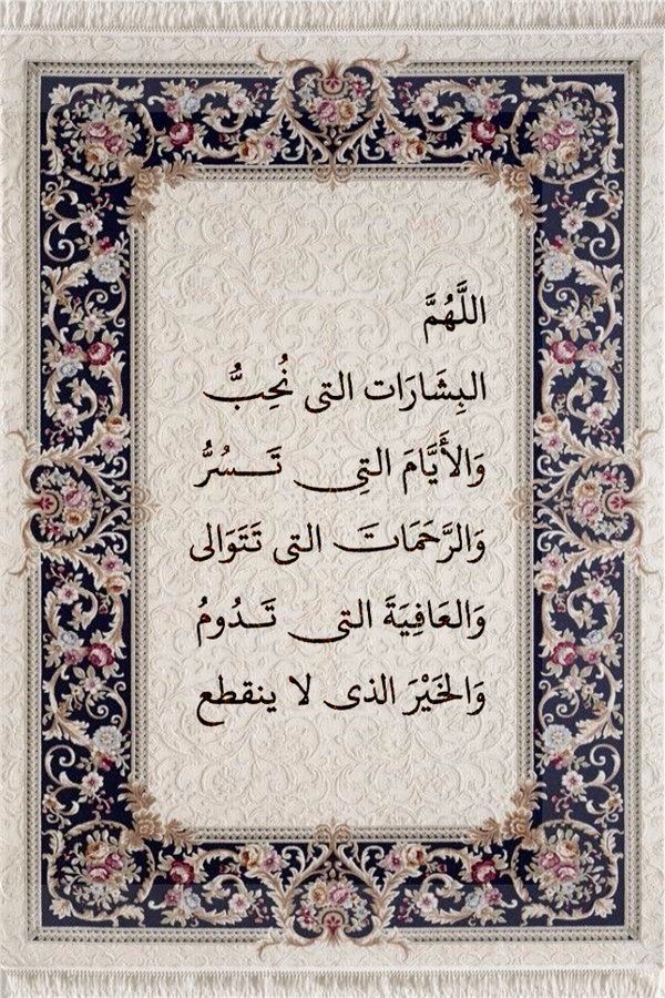 ما وراء المعرفة (@m3il9) on Twitter photo 