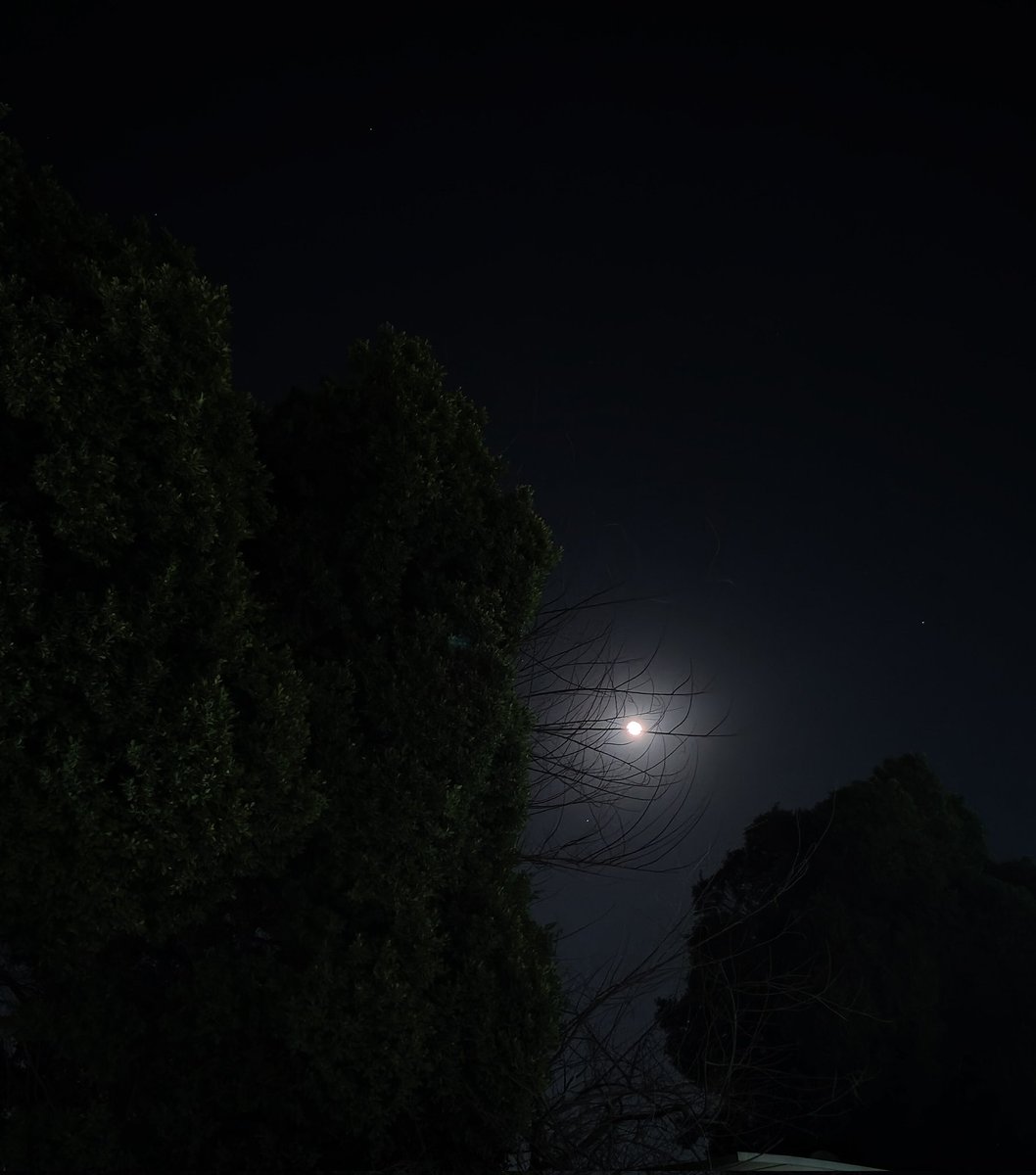 عاجباني اوي