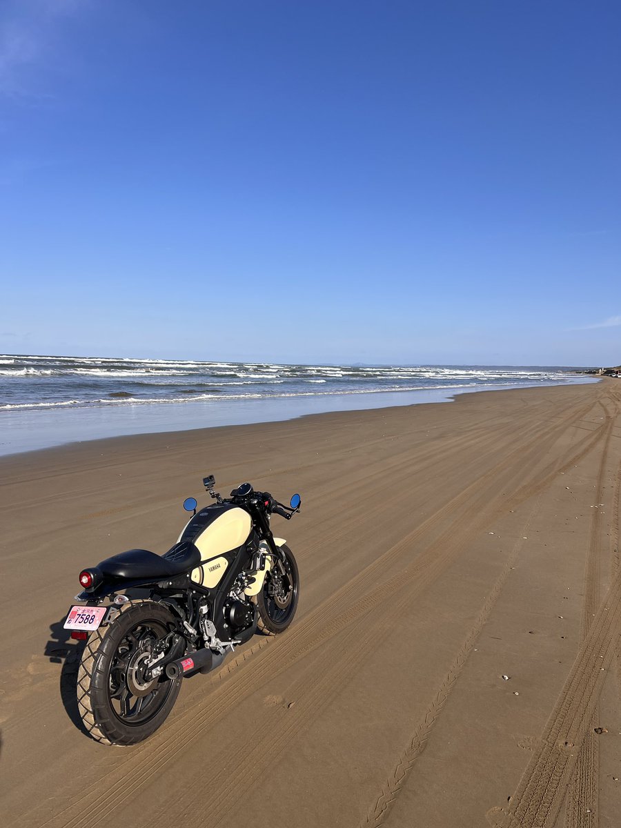 Picchio819 (@picchio819) / Posts / X