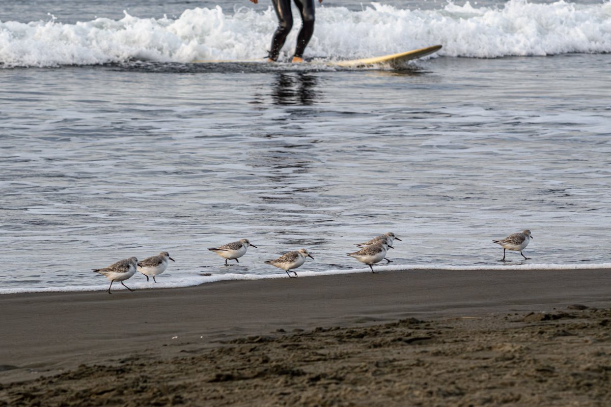 Tosh＠よろず屋 on X