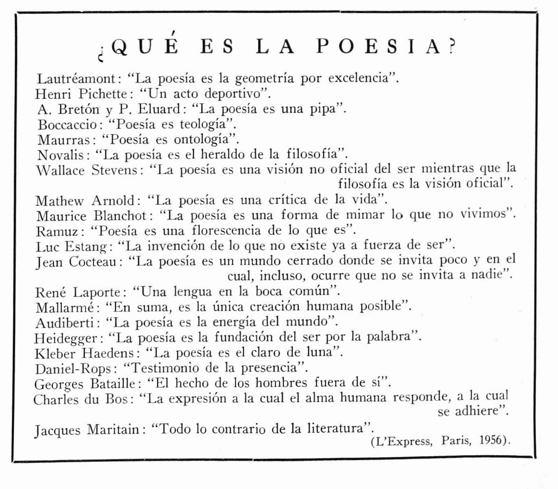 Malva Flores tweet media