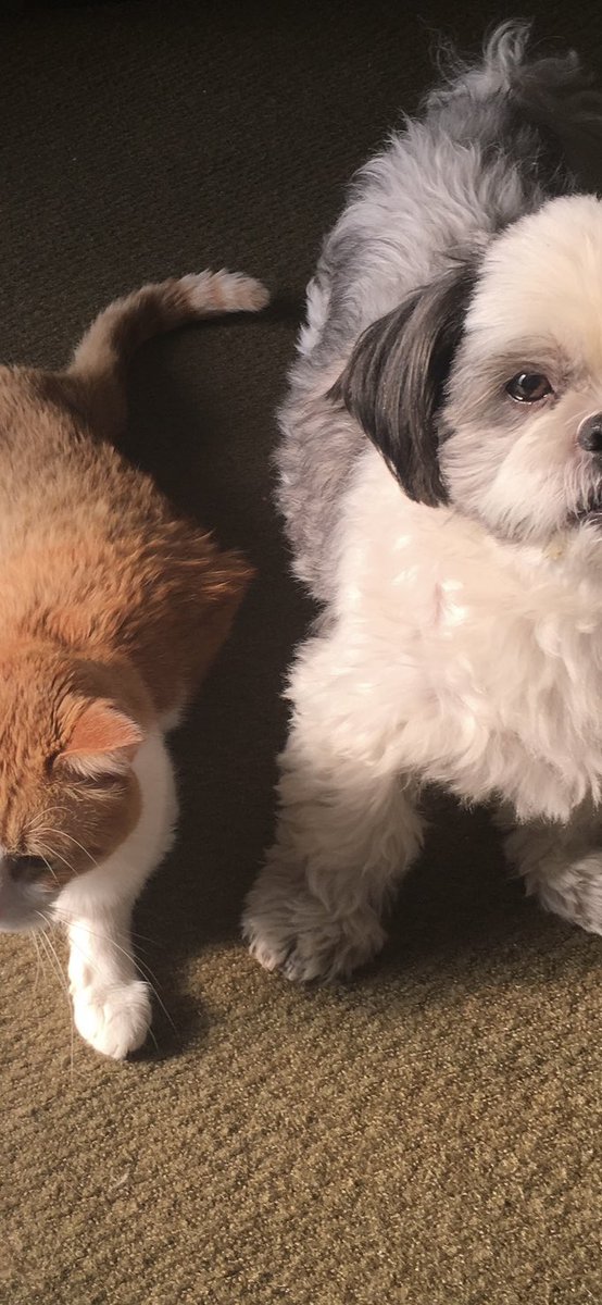 衣類リサイクルショップ・キングファミリー on X