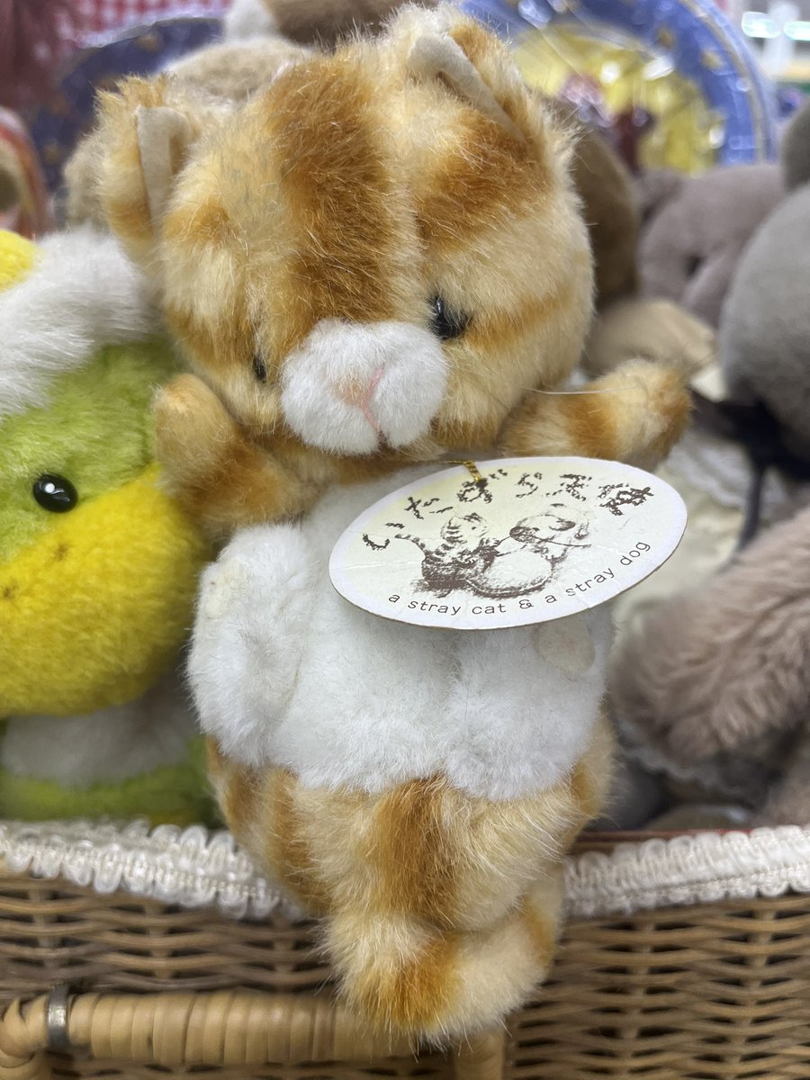 衣類リサイクルショップ・キングファミリー on X