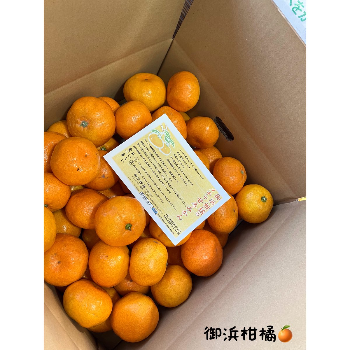 こだわりみかん”の御浜柑橘 on X