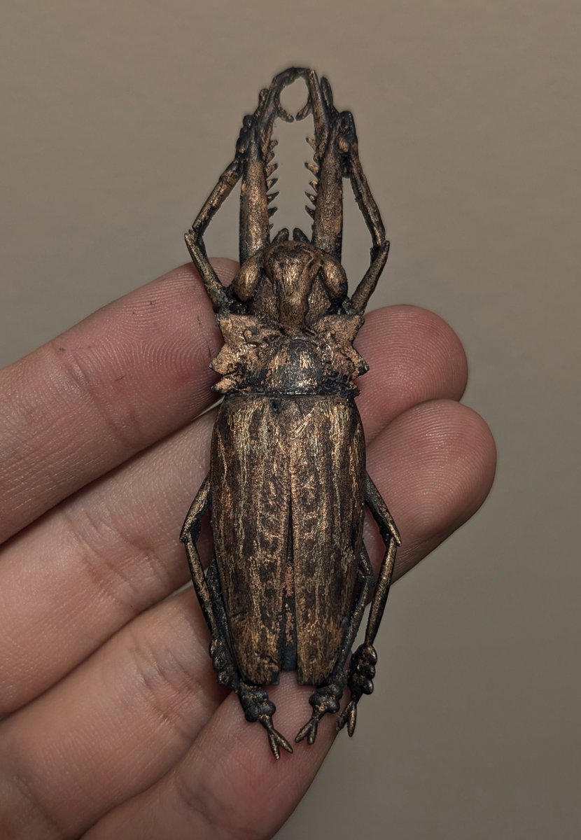 Bronze pendant I made in my Jewelry course, if you can ID the species you know ball.