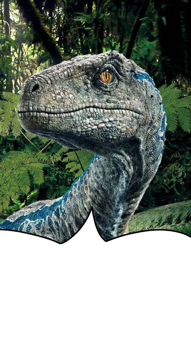 faiyaz 🪂🦖 jwct spoilers (@felixalgay) on Twitter photo 