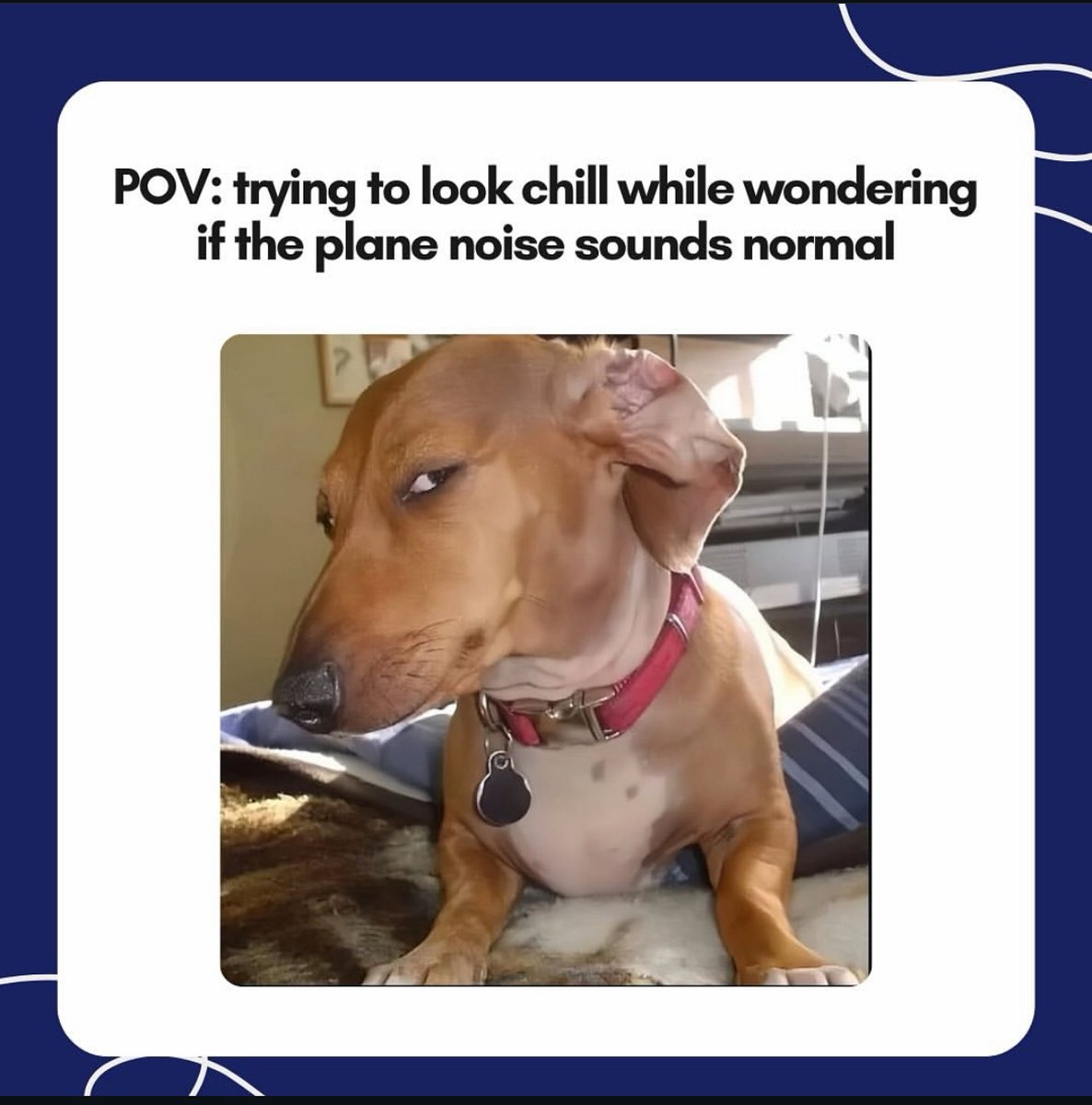 Dollar Flight Club tweet media