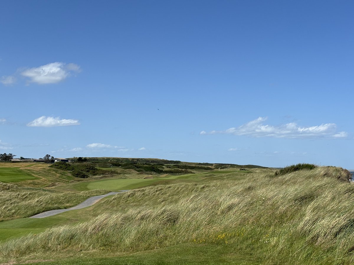 cbmacdonald55's tweet photo. @MulliganMan95 The dune scape in Aberdeen felt completely different from anywhere else in Scotland. Murcar and Royal Aberdeen were so damn fun. https://t.co/St9aif3zDg
