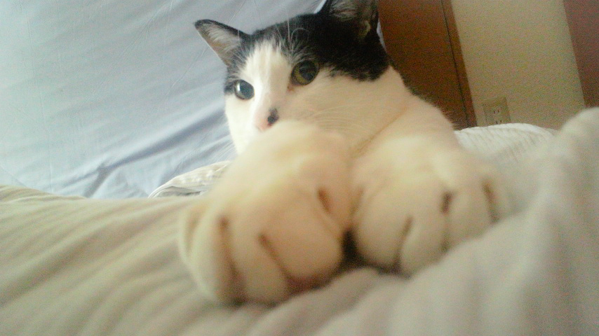 おはようどようびーー！