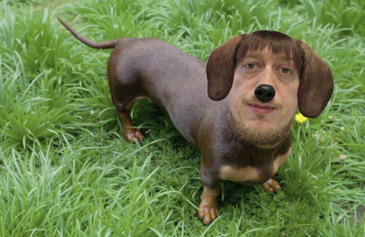 Hey guys look at my new dog! Isn’t he adorable?!