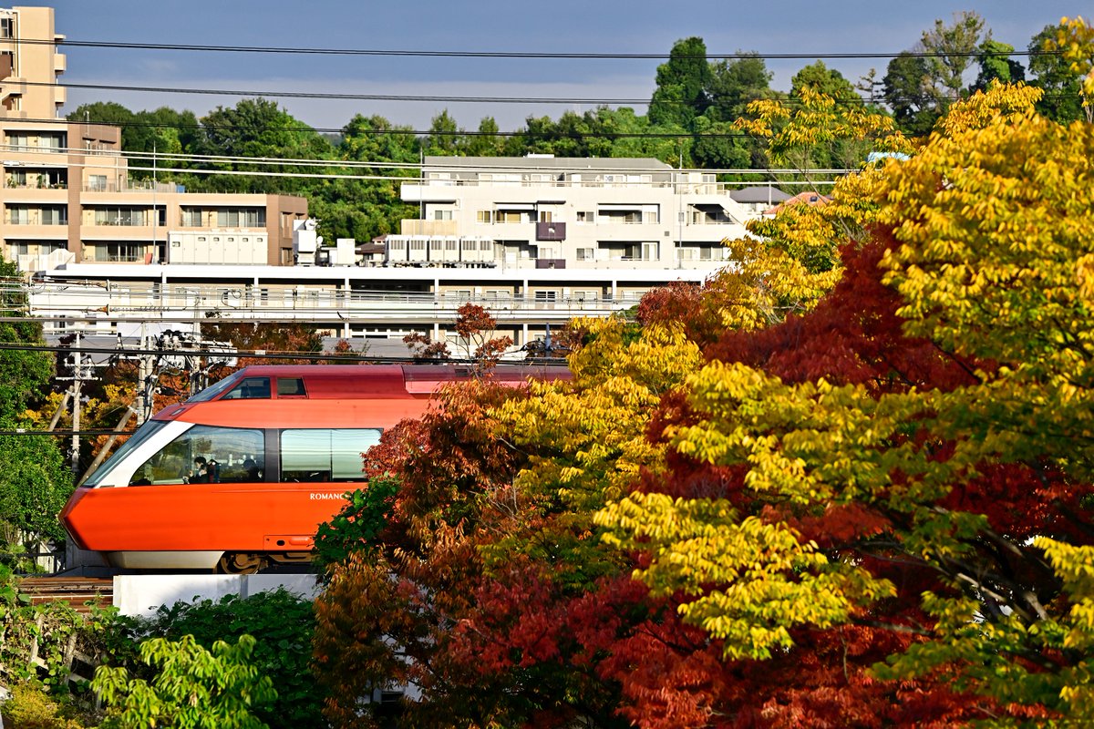 SORA (@sagam1go) / Posts / X