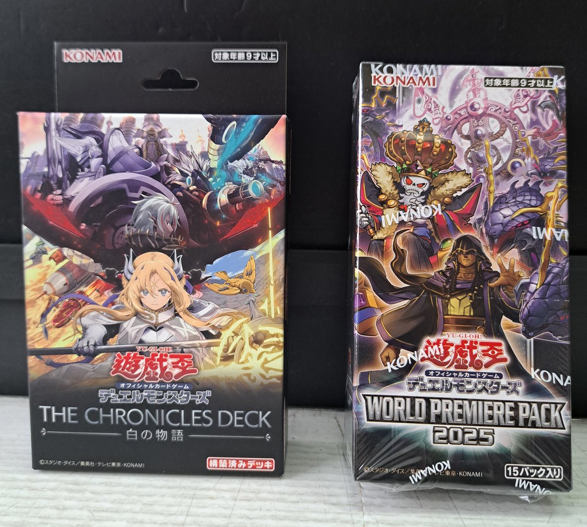 遊戯王 TSUTAYA 20t タペストリー 当選品 世界15個 遊戯王 TSUTAYA 20t