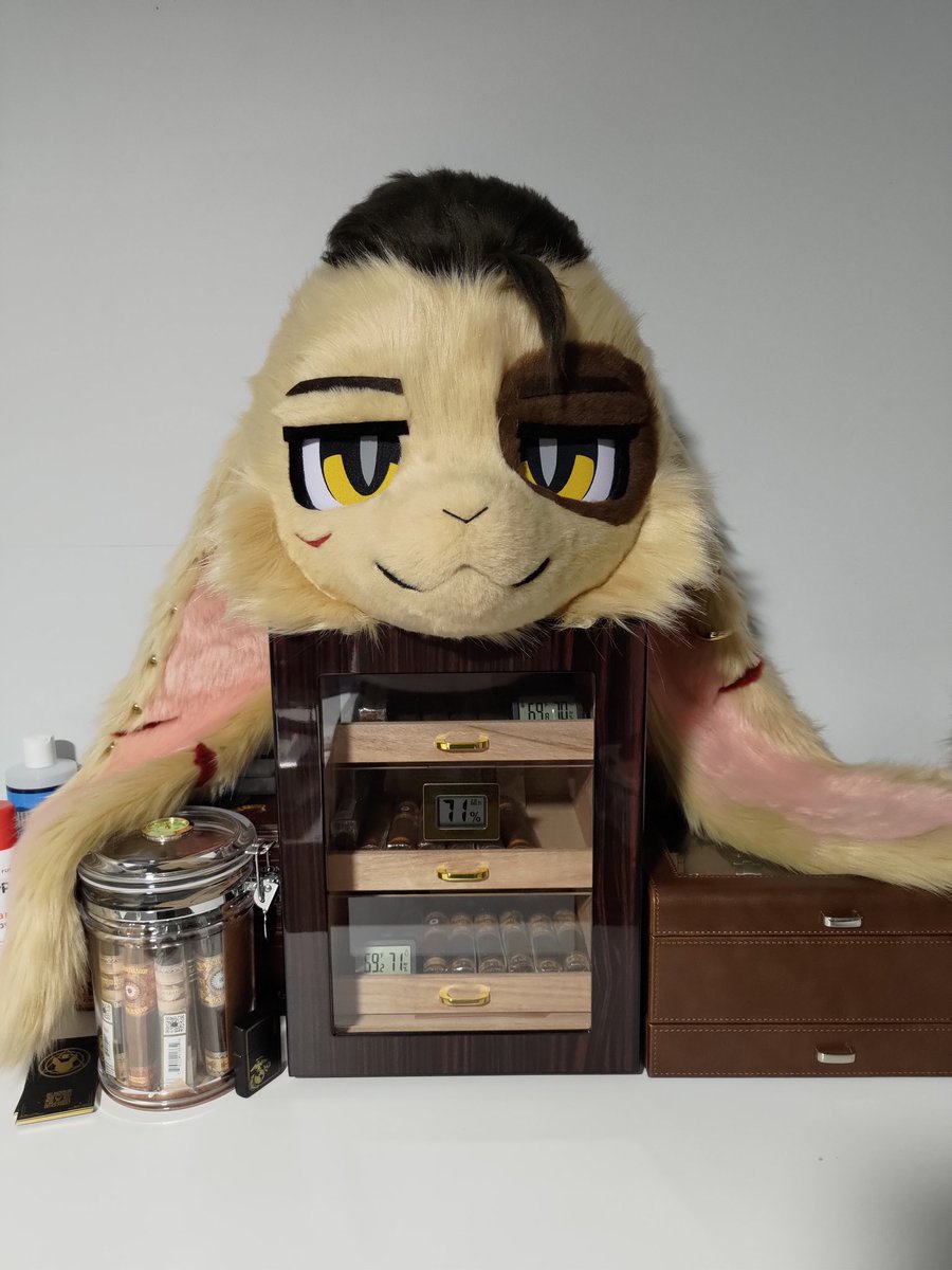 Found a nice spot for him right on top of my humidor!