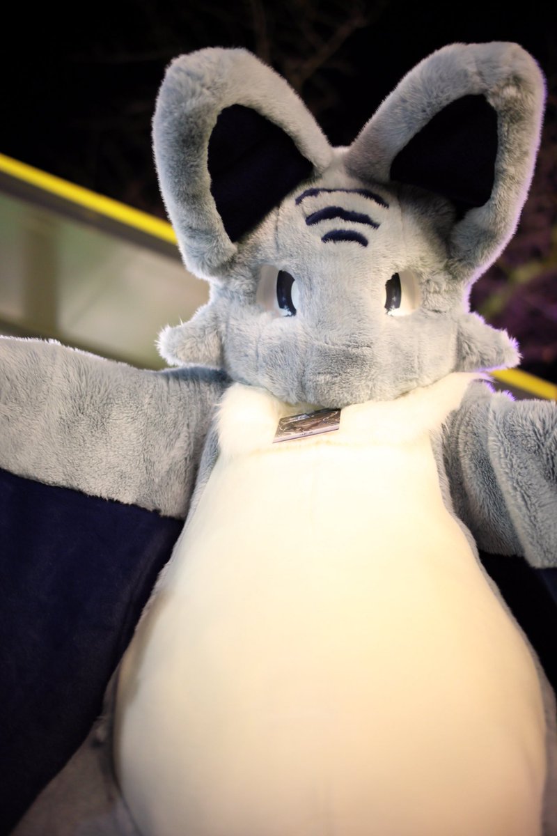 昨日生まれたばかりのサメコウモリドラゴンのエコーだよ！！よろしくね！自慢の翼膜で包み込んじゃうぞー！