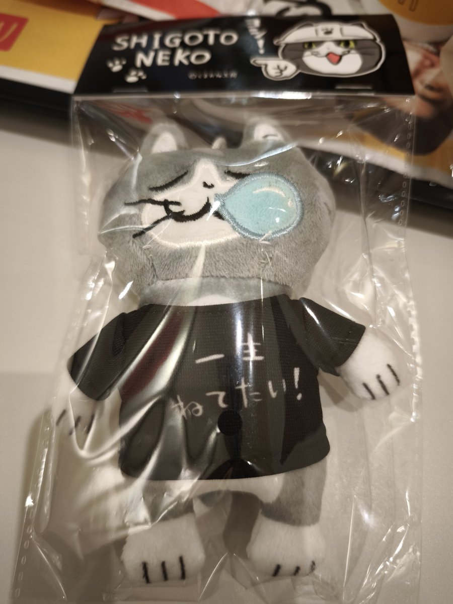 かめなおみ@︎𓃟𓃟㌧㌧ (@Robonameko0524) / Posts / X