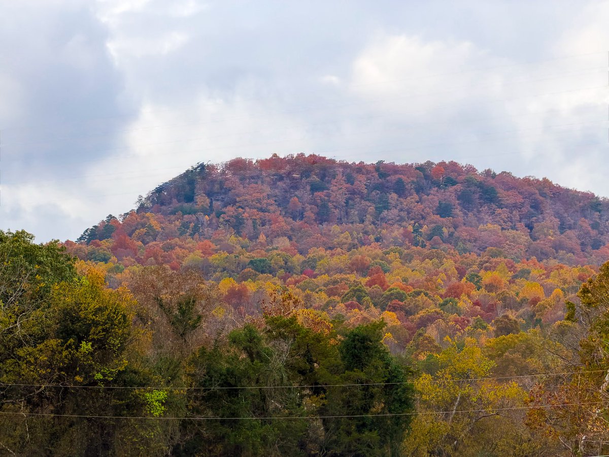 Jen_W_Jones's tweet photo. The view outside my classroom right now.  Autumn in the south can be amazing. 
#autumn #southernliving #views https://t.co/dOm6ZoXqji