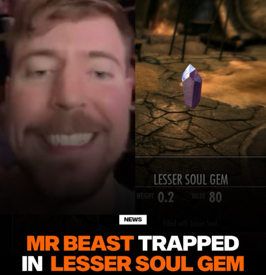 Smol Cat 2.0 (@onesmolcat) on Twitter photo 