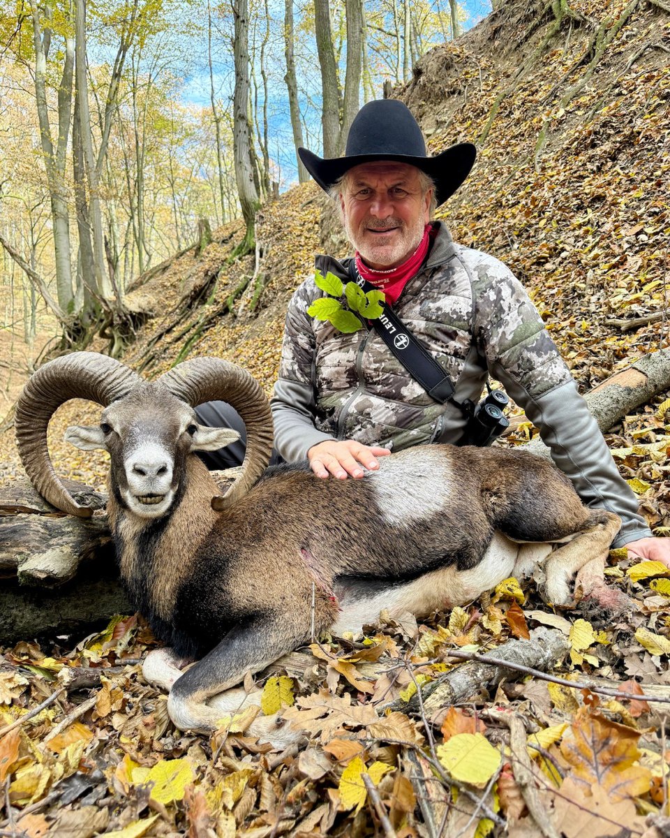 JimShockey_'s tweet photo. What a hunt!
Couldn’t wipe the smile off my face — Hunt in Slovakia is world-class.
🦌🇸🇰
https://t.co/EVf0I39EZ9
#HuntSlovakia #Mouflon #WorldClassAdventure https://t.co/CecR0040xx