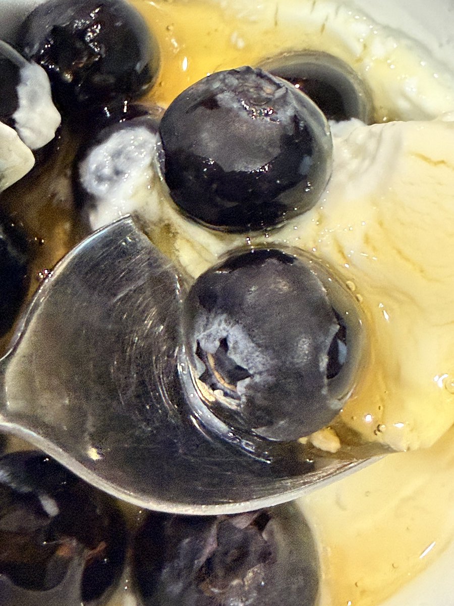 Gleaning a lot of peat-y information from 

<a href="/PGC1a_RB/">Richard</a>
<a href="/BerbarianWizard/">Jamal Dinkoui (Al-Haidut)</a> 
<a href="/hanz69er/">Hanz</a> 
<a href="/DocAbirHealth/">Doc Abir</a> 

Honey kept coming up, I was wrong to not incorporate this more. 

Best made by <a href="/bowtiedfarmer/">Farmer | Making Food Real Again</a>