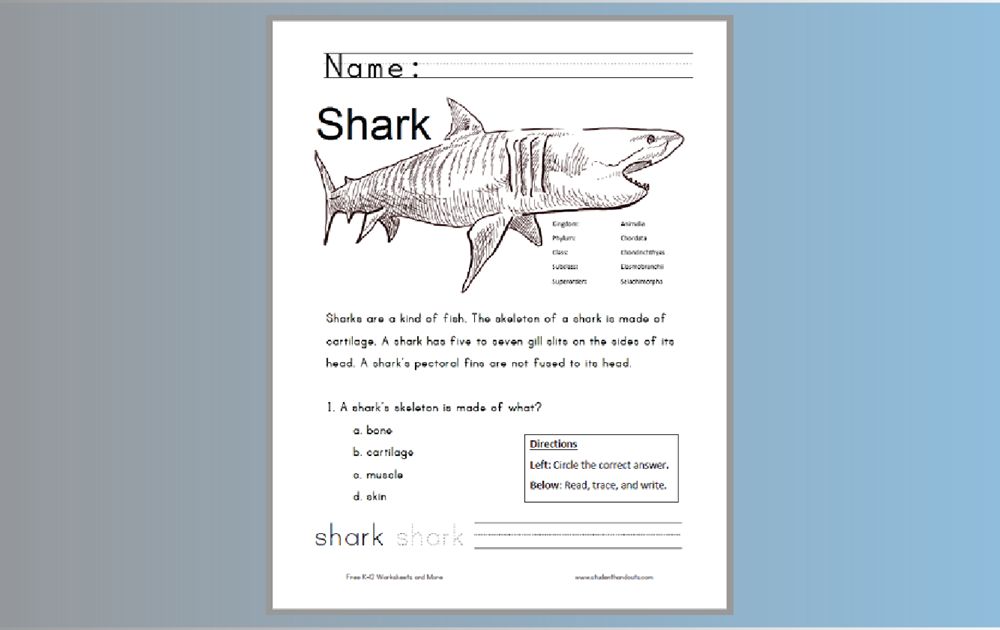 studenthandouts's tweet image. Free Printable Shark Worksheet for Grades 1-3 - Free to print (PDF file). #freeprintable #science #lowerelementary studenthandouts.com/science/lower-…