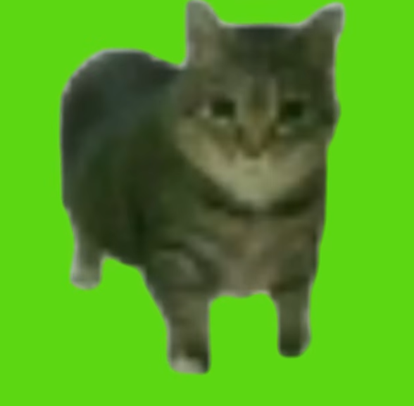 YOU DON'T NEED TO LEARN ANOTHER LANGUAGE , YOU JUST NEED THE UNIVERSAL LANGUAGE OF RESPECT